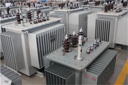 丽水S13-100KVA/10KV/0.4KV油浸式变压器